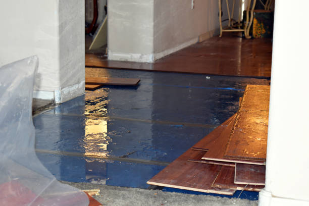 Professional Sewage Cleanup technician working in Hallsville, MO